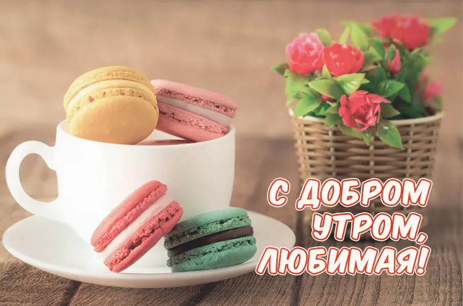 Открытка Доброе утро - Открытка с макарунами и цветами | Красивая открытка #488