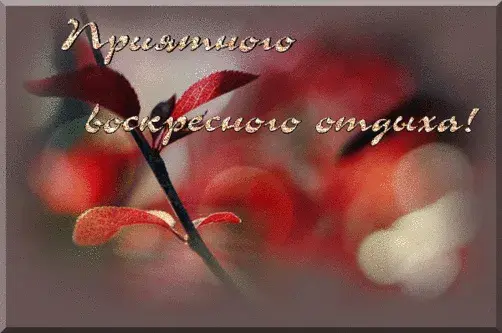 Открытка Удачного воскресенья - Красные листья на ветке. Праздничная открытка. | Красивая открытка #2