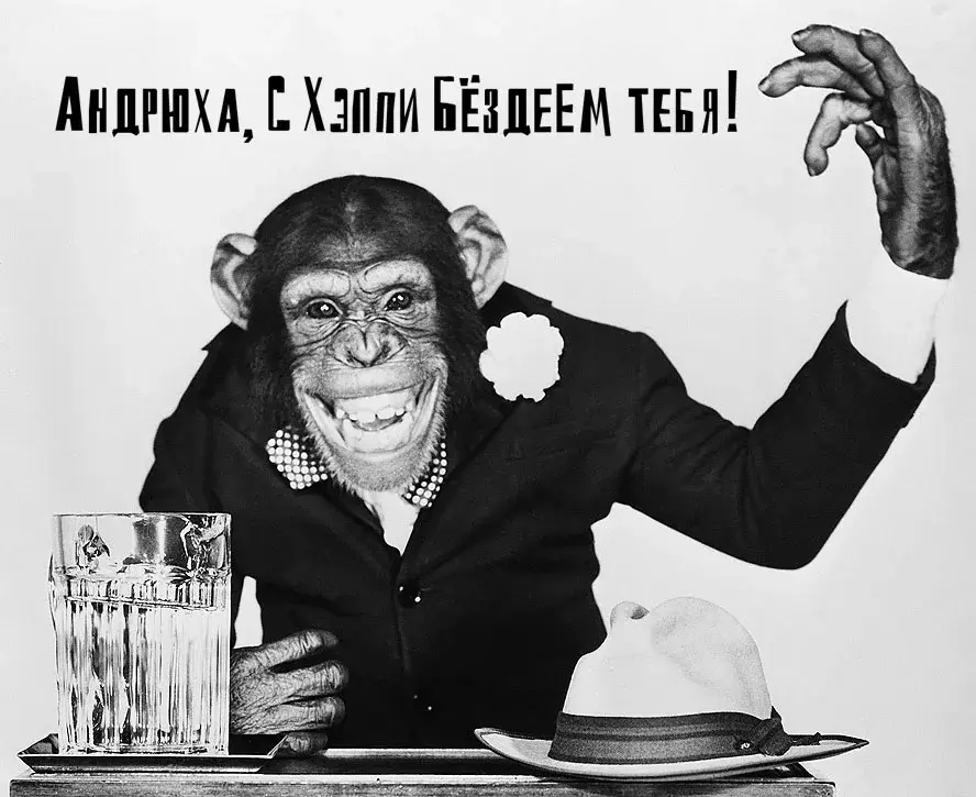 Открытка открытки с именем Андрей - Обезьяна в костюме с бокалом и шляпой | Красивая открытка #111