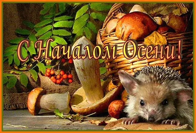 Открытка Первый день осени - Открытка с ежом, грибами и ягодами  С Днем Осени! | Красивая открытка #124