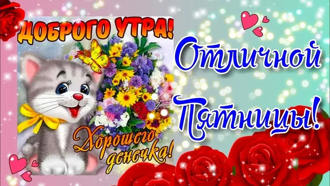 Открытка Доброе утро пятница - Открытка с котиком и цветами | Красивая открытка #21