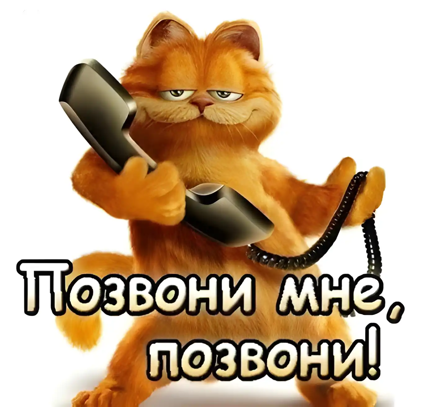 Открытка Прикольные пожелания - Открытка с котом: Позвони мне! | Красивая открытка #5