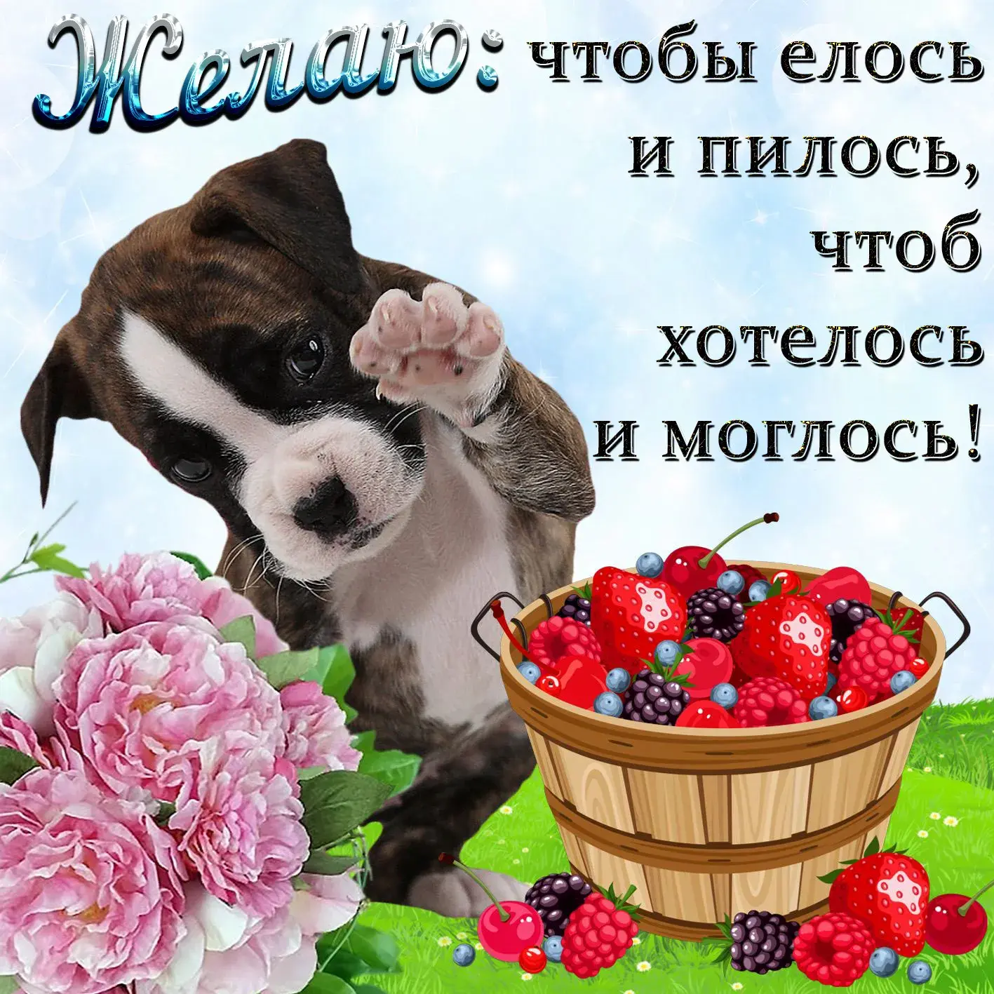 Открытка С ягодами - Собака, ягоды, цветы: открытка с лаской | Красивая открытка #40