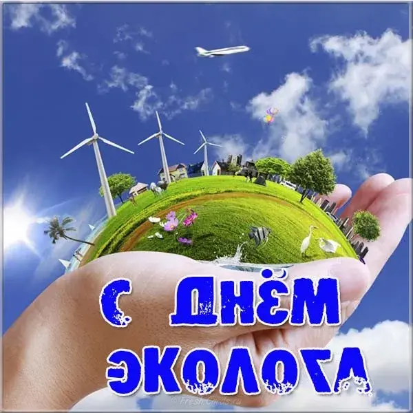 Открытка День эколога - С Днём Эколога: Красивая открытка с природой | Красивая открытка #74