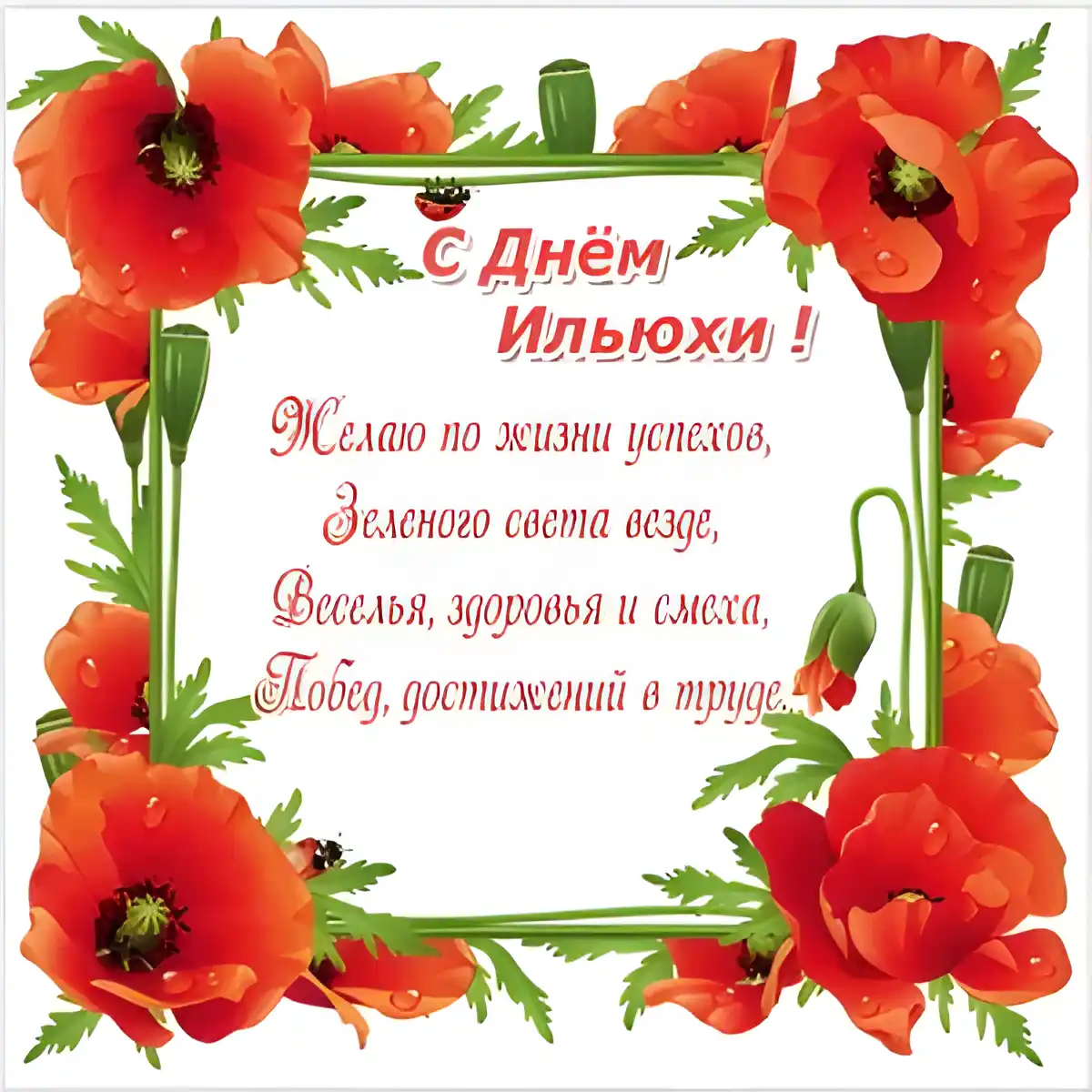 Открытка Открытки с именем Илья - Открытка с цветами: день рождения, поздравления | Красивая открытка #169