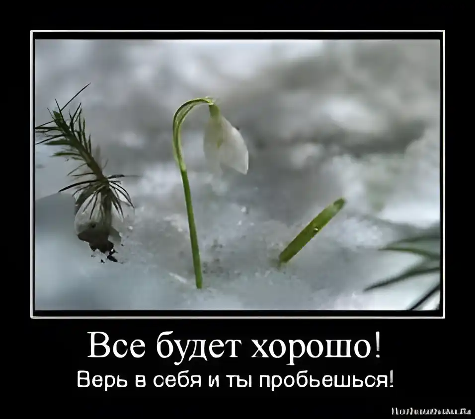 Открытка Открытки все будет хорошо - Подснежник на снегу: весенняя открытка | Красивая открытка #127