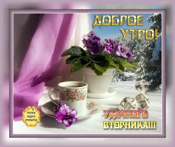 Открытка Дни недели - Открытка с фиалками, чашкой и снегом | Красивая открытка #74
