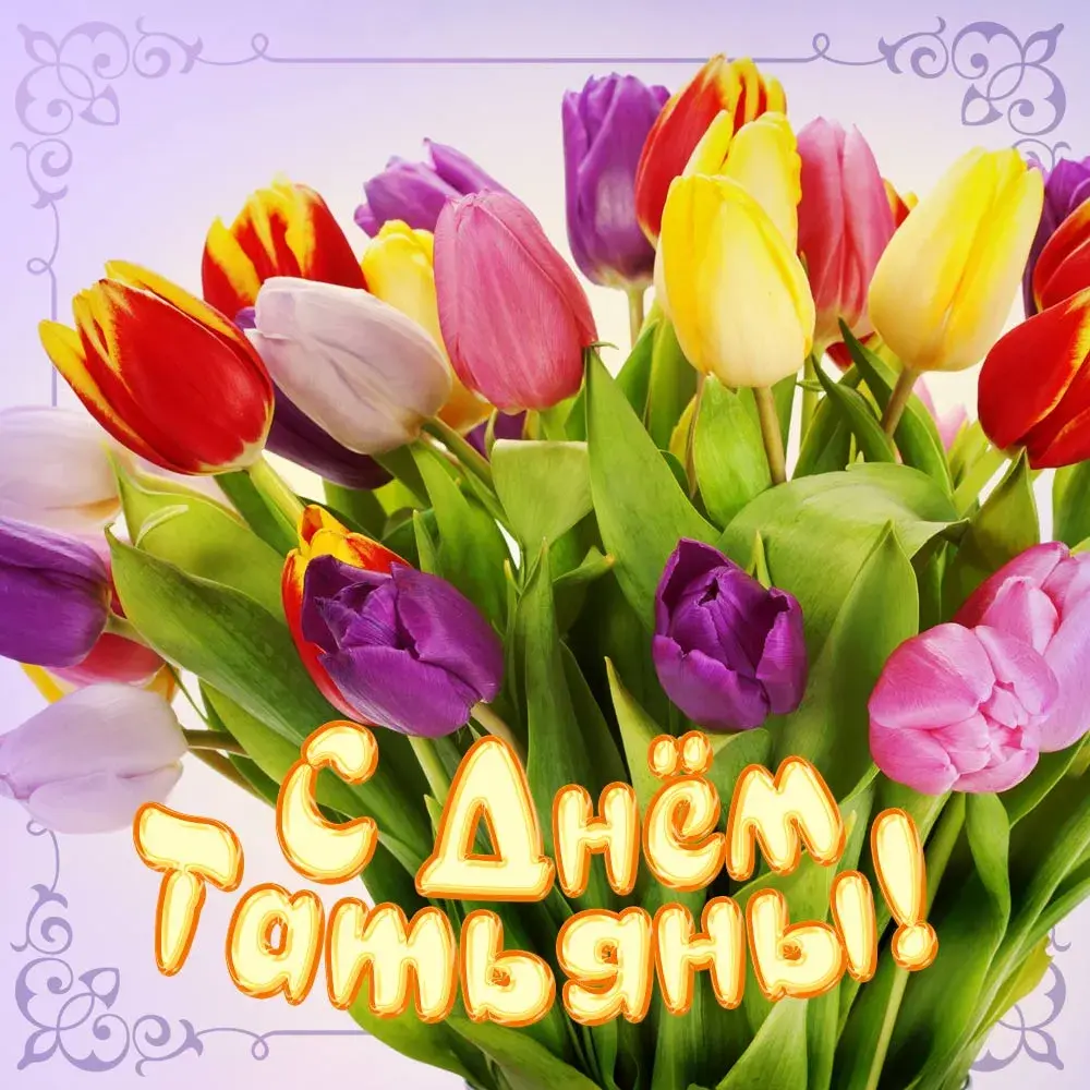 Открытка Татьянин день - Букет тюльпанов: поздравления с 8 марта | Красивая открытка #77