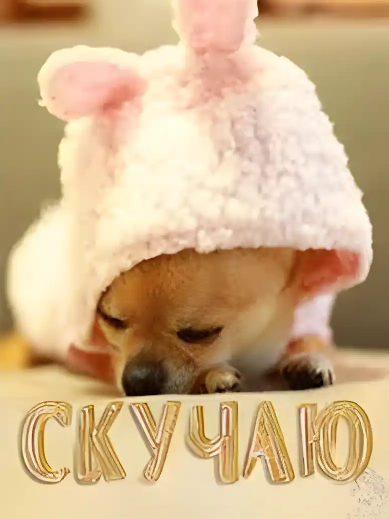 Открытка Скучаю - Щенок в шапке: милая открытка | Красивая открытка #139