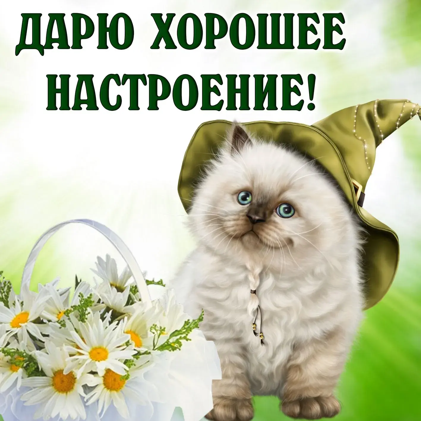 Открытка хорошего настроения - Котенок с ромашками: милая открытка | Красивая открытка #138