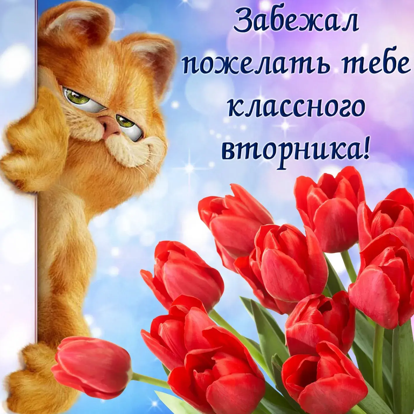 Открытка Дни недели - Красные тюльпаны и котик: праздничная открытка | Красивая открытка #5
