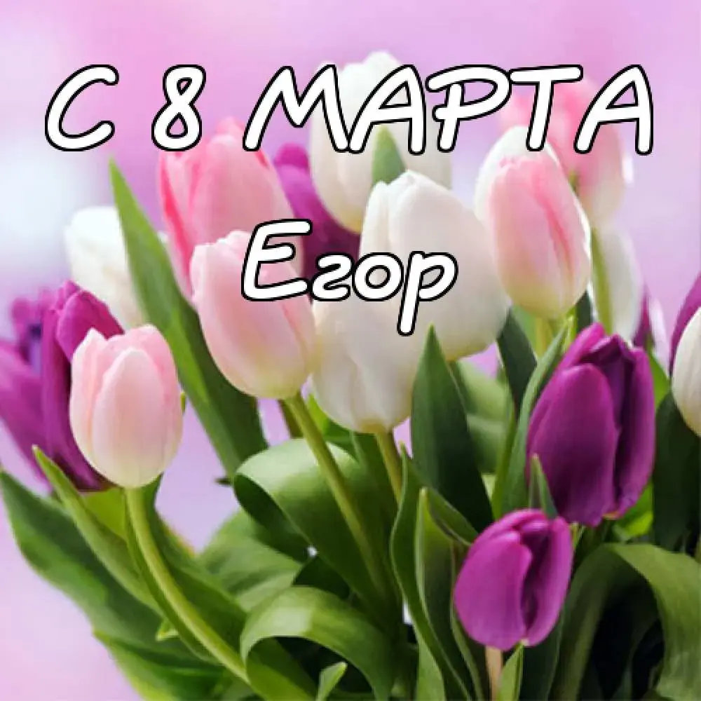 Открытка открытки с именем Егор - Открытка ко 8 марта: Нежные тюльпаны | Красивая открытка #157