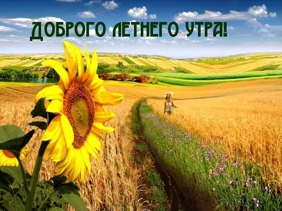 Открытка Доброе утро - Поле подсолнухов, закат, девушка | Красивая открытка #110