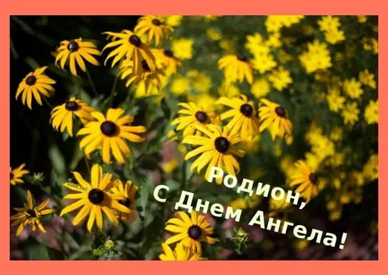 Открытка Открытки с именем Родион  - Открытка с желтыми цветами: поздравления с Днем ангела | Красивая открытка #193