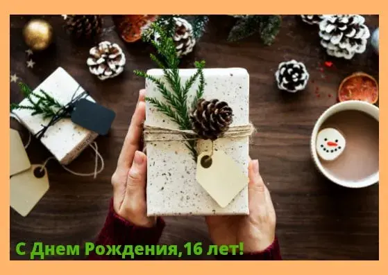 Открытка Открытки на 16 лет - Подарок на день рождения с еловой веткой и шишками | Красивая открытка #120