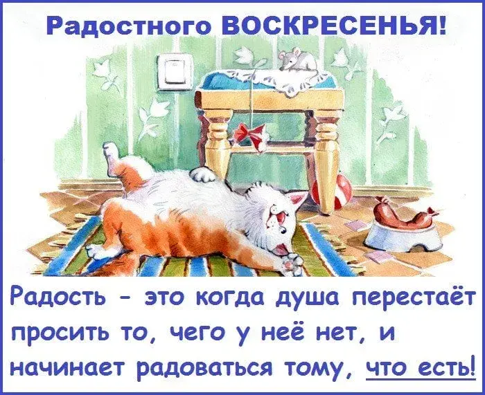 Открытка Открытки на воскресенье - Открытка с котами: уют и радость | Красивая открытка #154
