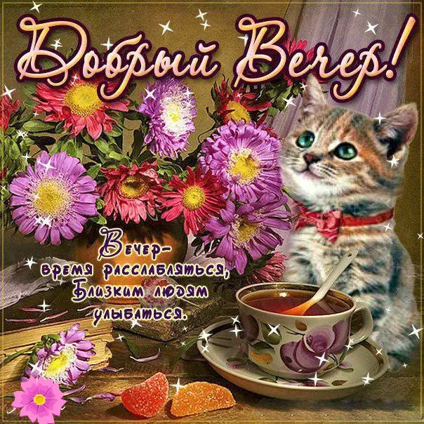 Открытка Приятного вечера - Открытка с кошкой и цветами: нежная поздравительная картинка | Красивая открытка #15