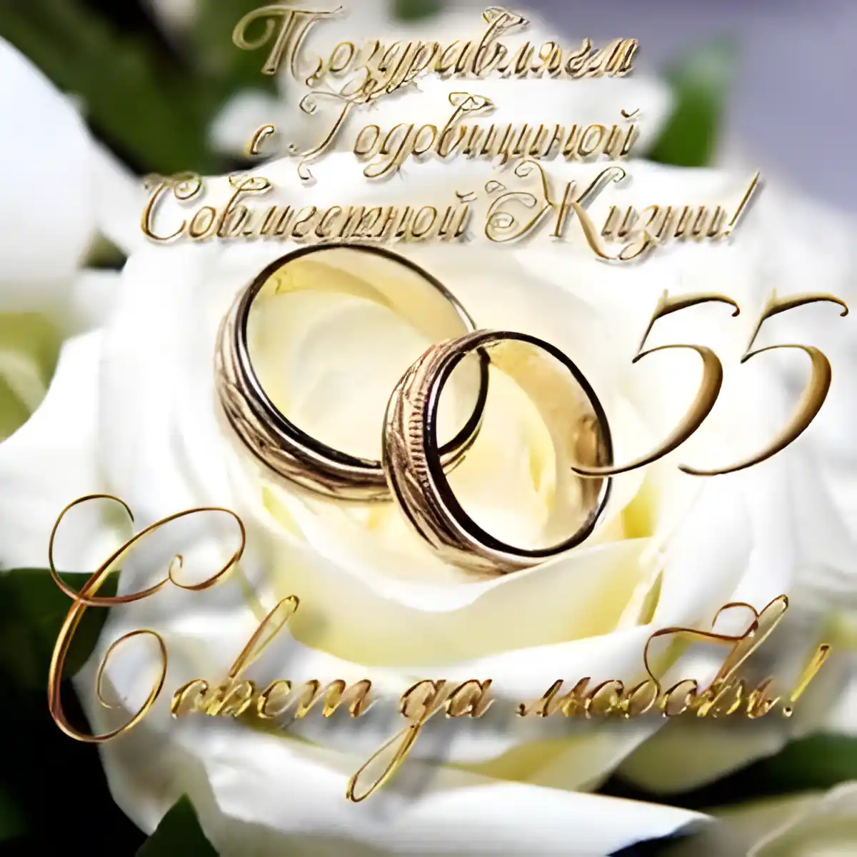 Открытка 55 лет - изумрудная свадьба - Обручальные кольца на лепестках белых роз | Красивая открытка #24