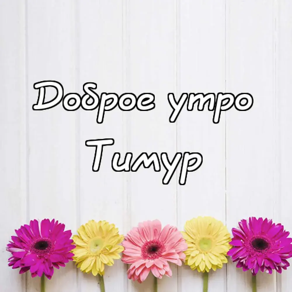 Открытка Открытки с именем Тимур - Открытка с цветами: розовые и желтые герберы | Красивая открытка #48