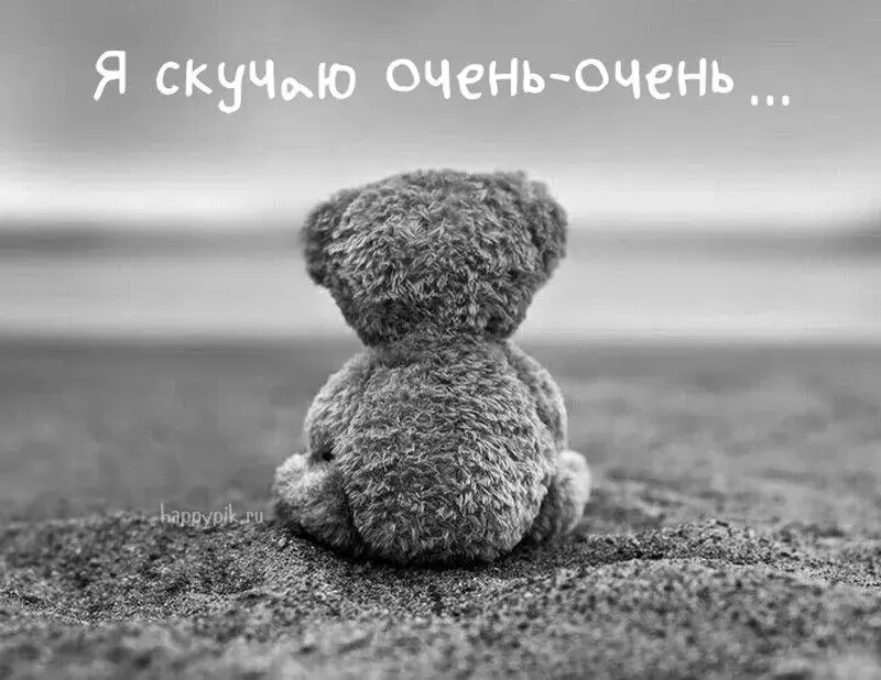 Открытка Жду встречи - Мишка на пляже: грустная открытка в черно-белых тонах | Красивая открытка #13