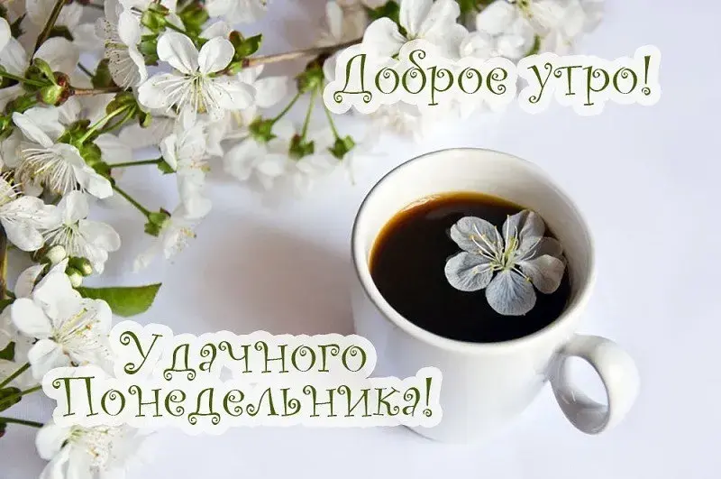 Открытка Понедельник - Открытка: Цветы и кофе - нежное утро | Красивая открытка #5