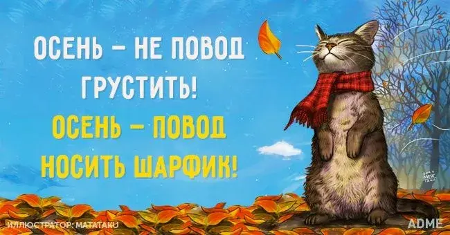 Открытка времена года - Котенок в осеннем парке: открытка с яркими листьями | Красивая открытка #1