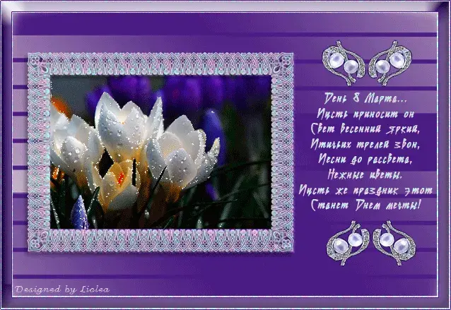 Открытка С крокусами - Открытка: Цветы, капли росы, фиолетовая рамка | Красивая открытка #30