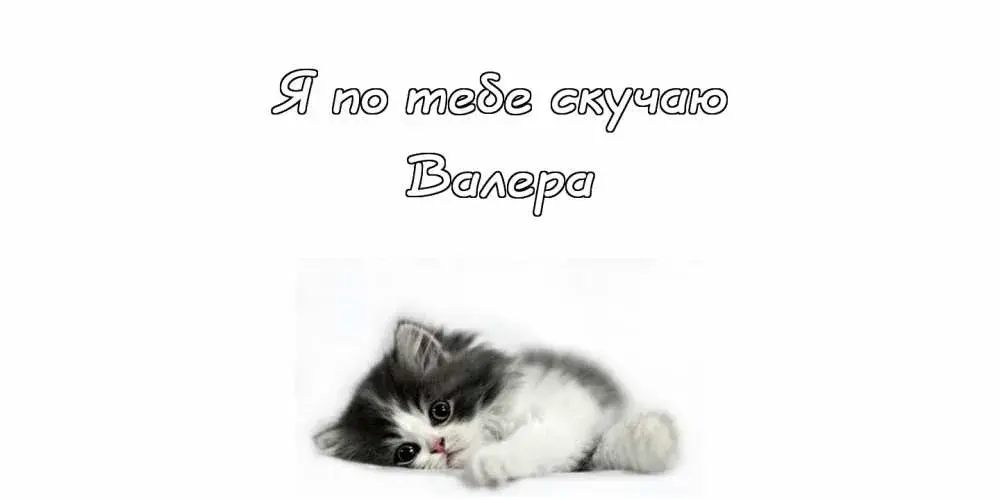 Открытка Открытки с именем Валерий - Я: Котенок спит на открытке - милое поздравление | Красивая открытка #178