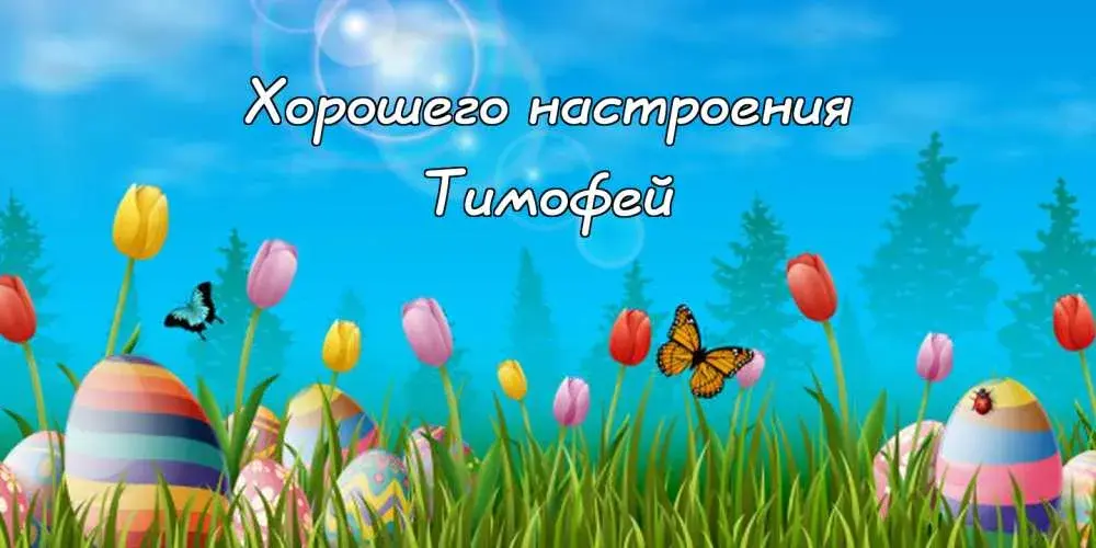 Открытка Открытки с именем Тимофей - Яркие пасхальные яйца, тюльпаны и бабочки | Красивая открытка #250