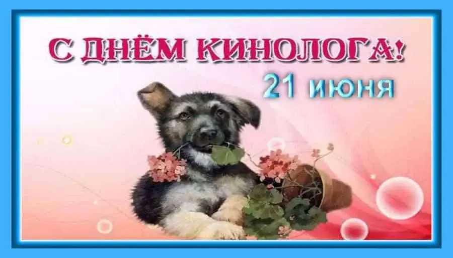Открытка Открытки с днем кинолога - Открытка с щенком: С днем рождения! | Красивая открытка #25