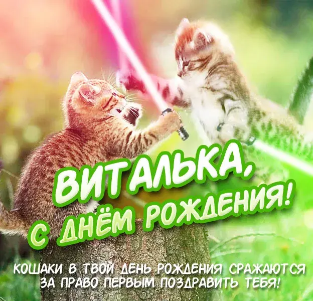Открытка открытки с именем Виталий - С Днём Рождения! Две кошки обнимаются - открытка | Красивая открытка #186