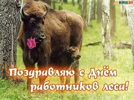 Открытка С днём работника леса - С Днём лесопарковых хозяйств: открытка с бизоном | Красивая открытка #45