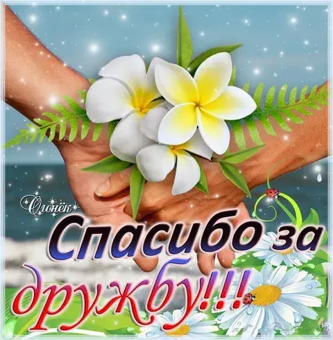 Открытка Спасибо - Открытка с цветком франжипани и текстом | Красивая открытка #36