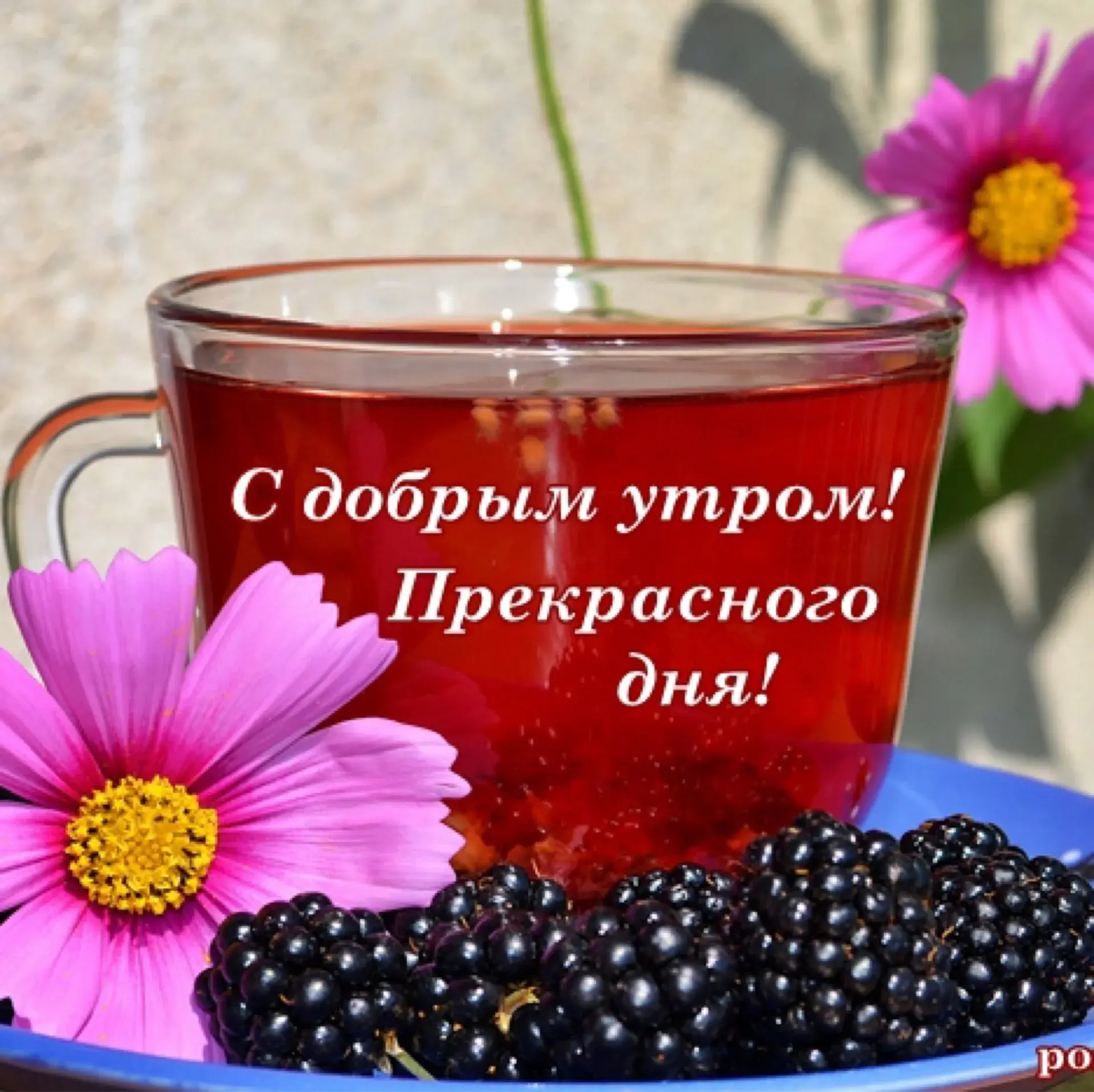 Открытка прекрасного дня! - С добрым утром! Прекрасного дня! | Красивая открытка #7