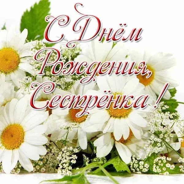 Открытка Открытки с Днем Рождения сестре - Открытка с ромашками и надписью «С Днём» | Красивая открытка #26