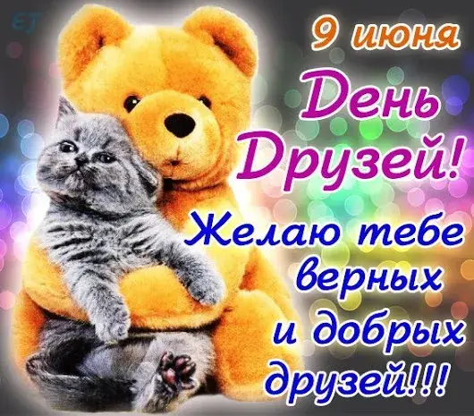 Открытка День друзей - Открытка с котенком: С Днем! | Красивая открытка #48