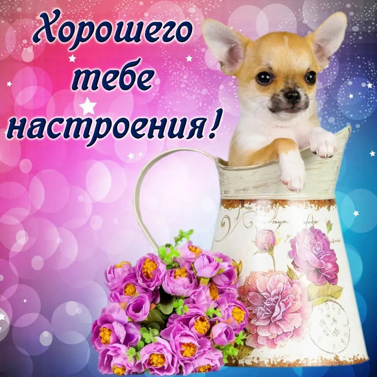 Открытка хорошего настроения - Открытка с цветами и собакой | Красивая открытка #120