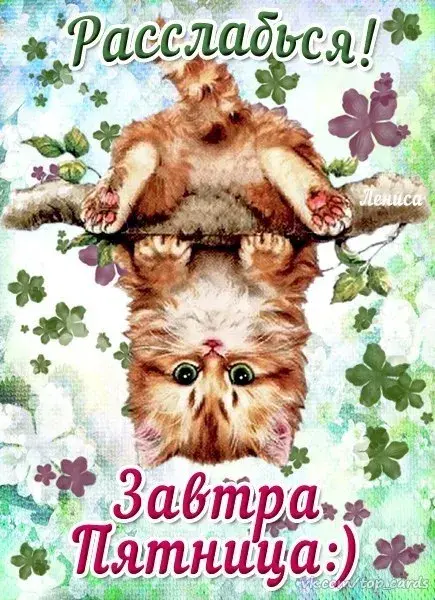Открытка Пятница - Котенок на открытке: милый пушистик для вас | Красивая открытка #9