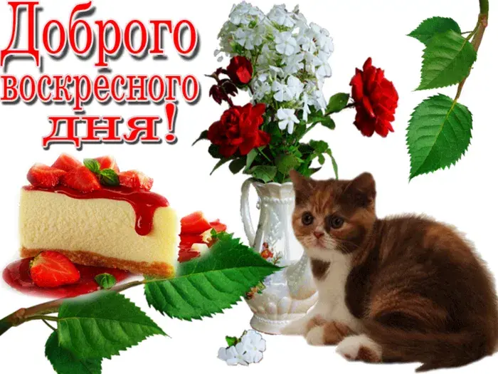 Открытка Удачного воскресенья - Открытка с котенком, тортом и цветами | Красивая открытка #7