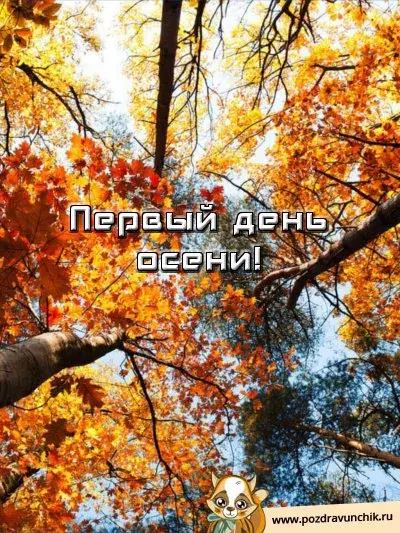 Открытка Первый день осени - Золотая осень: открытка с яркими листьями | Красивая открытка #68