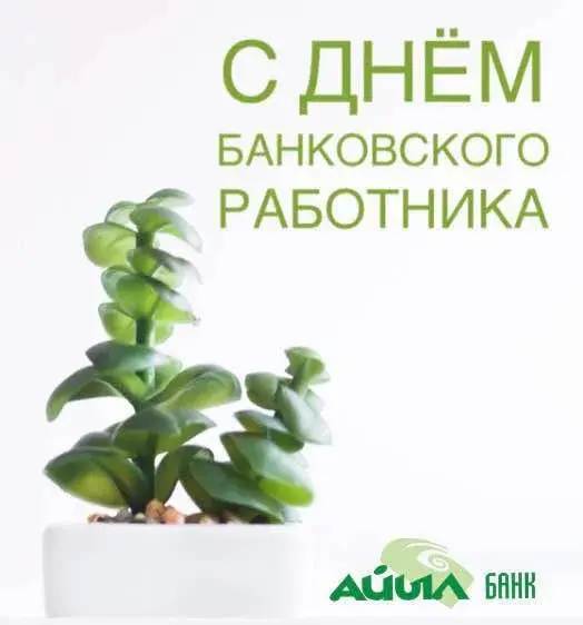 Открытка День банковского работника - Открытка с суккулентом в белом горшке | Красивая открытка #68