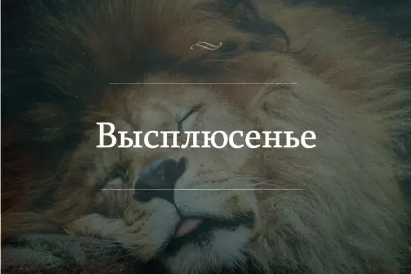 Открытка Выходные - Спящий лев: забавная открытка с львом | Красивая открытка #68