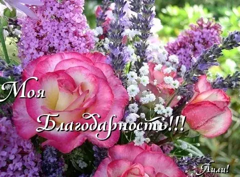 Открытка С сиренью - Открытка: Розы и лаванда - нежные цветы | Красивая открытка #170