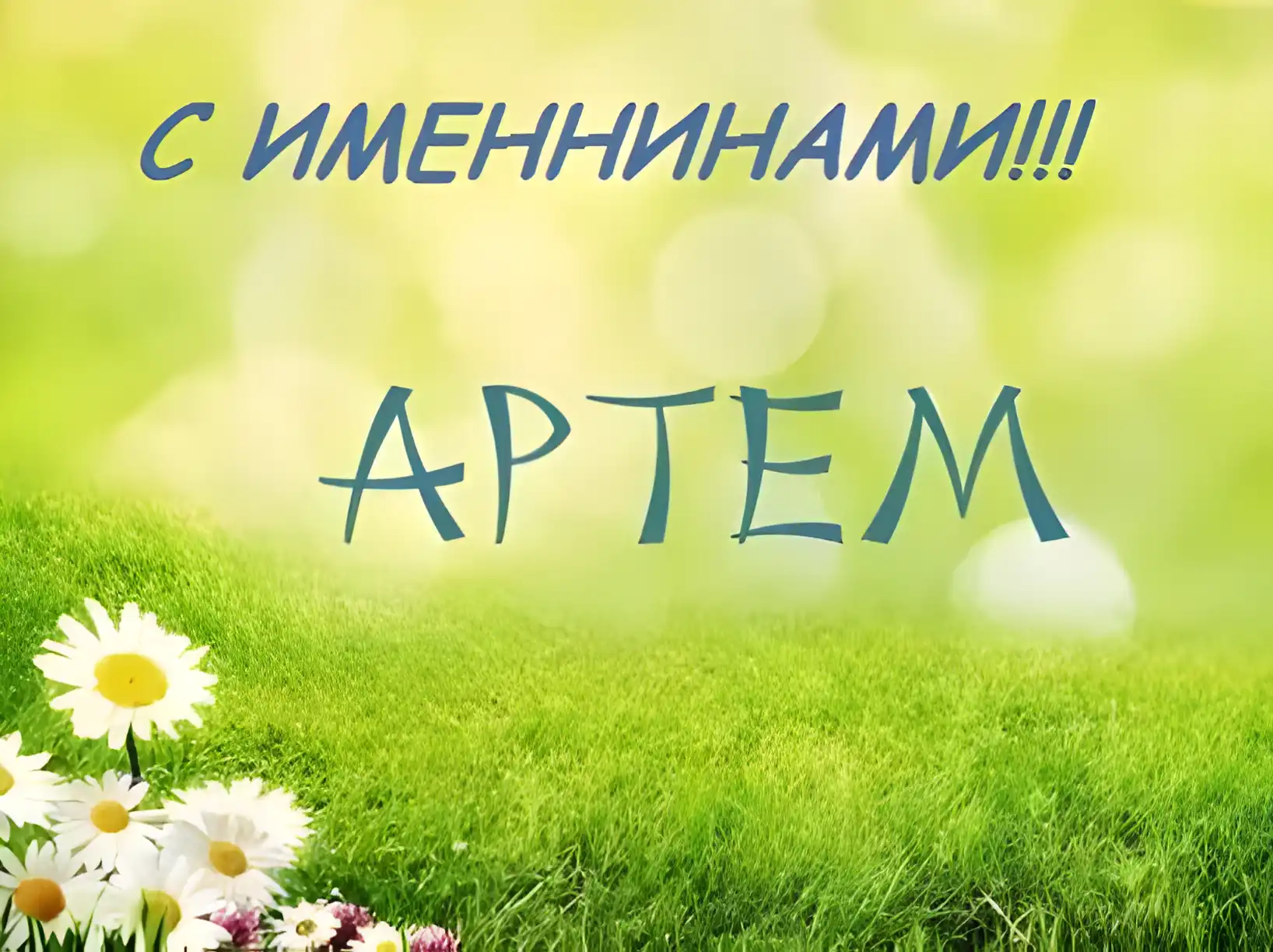 Открытка открытки с именем Артем - Открытка с ромашками на лугу | Красивая открытка #267
