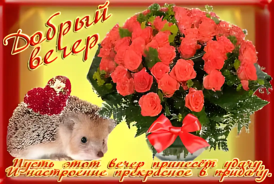 Открытка Открытки добрый вечер - Открытка: Ёж, розы и красное сердце | Красивая открытка #177