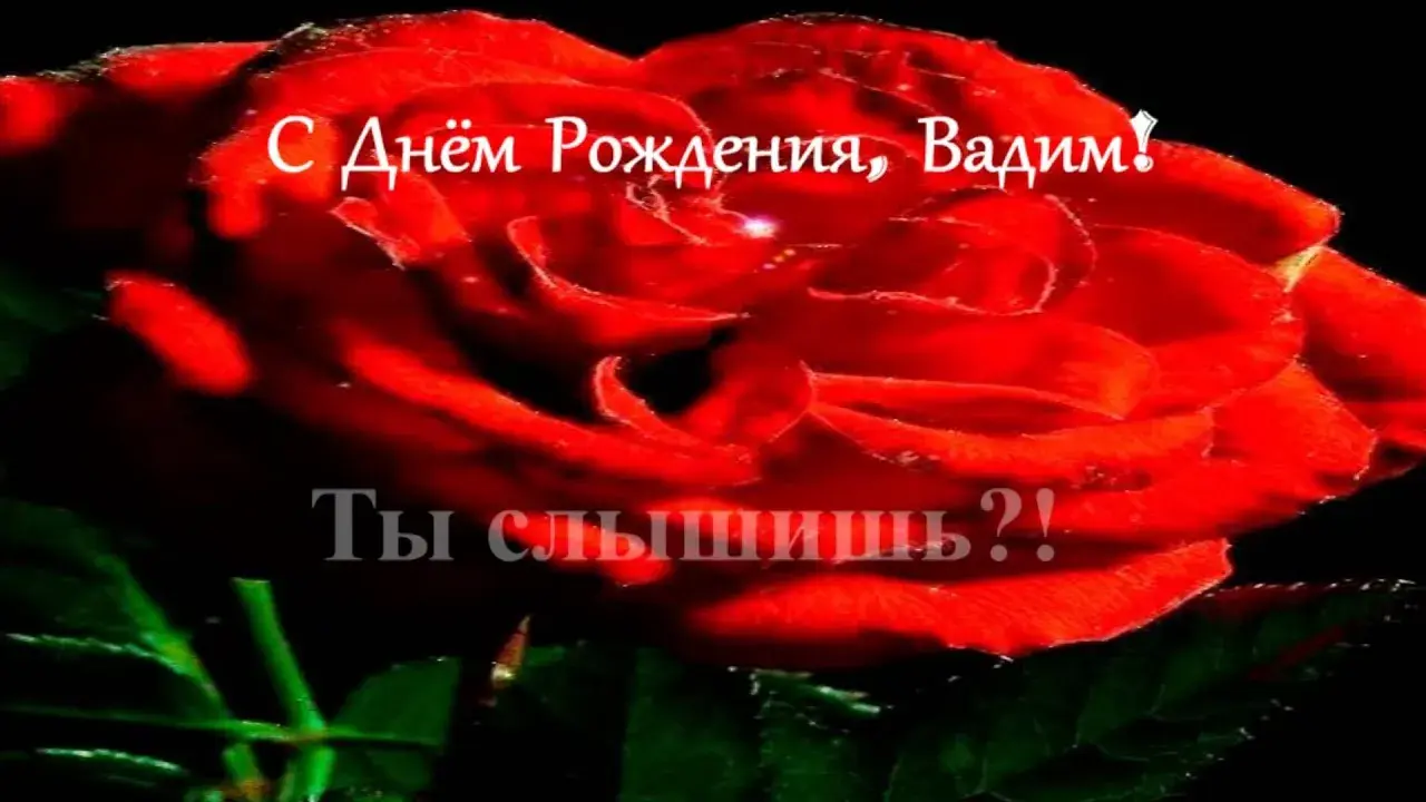 Открытка открытки с именем Вадим - Красная роза: открытка с днем рождения | Красивая открытка #55