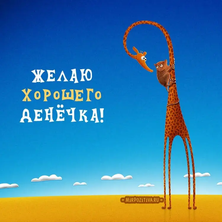 Открытка Хорошего дня - Жираф с котиком на фоне неба - открытка | Красивая открытка #177