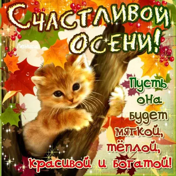 Открытка Первый день осени - Открытка с котенком на дереве. | Красивая открытка #127