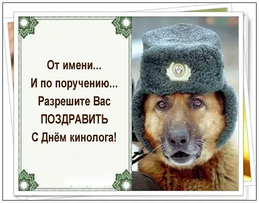 Открытка День кинолога - Собака в ушанке - смешная открытка  С Днём... | Красивая открытка #3