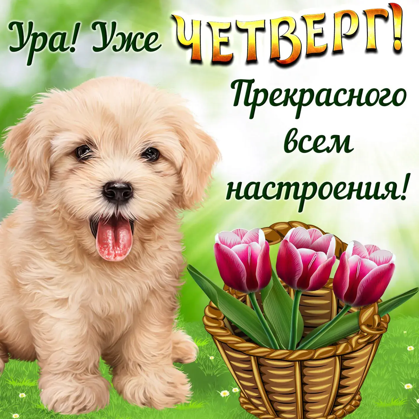 Открытка Открытки на четверг - Щенок и тюльпаны: милая открытка | Красивая открытка #123